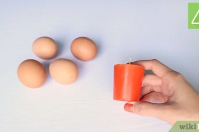How to Candle an Egg