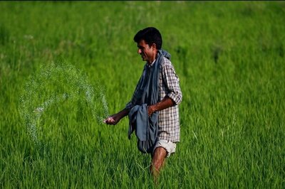 Govt Approves PM-PRANAM to Boost Balanced Use of Fertilisers; Rs 3.68 Lakh Cr Subsidy on Urea Till Mar 2025