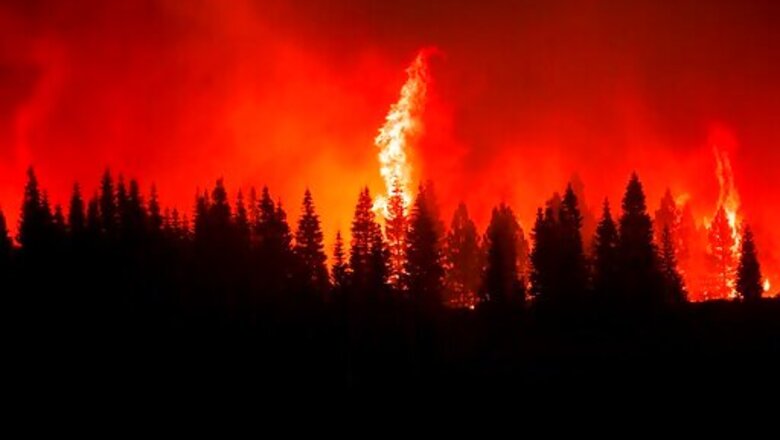 Record Wildfire Burns Amid Drought On Hawaii's Big Island