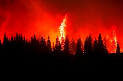 Record Wildfire Burns Amid Drought On Hawaii's Big Island