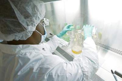 Mutation in Novel Coronavirus May Have Made it More Contagious: Study