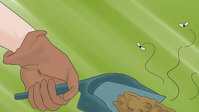 How to Clean a Chicken Coop