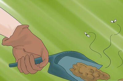 How to Clean a Chicken Coop