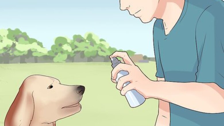 How to Treat Dog Anxiety with Pheromone Therapy