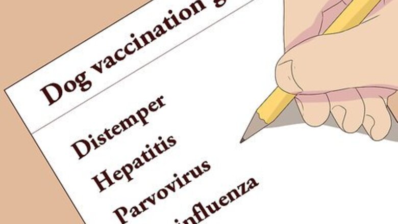 How to Stay Updated on Dog Vaccinations