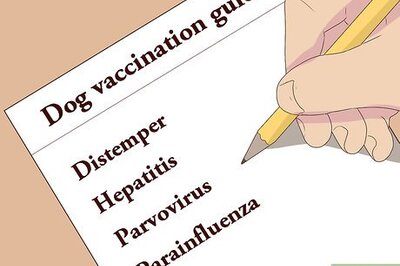How to Stay Updated on Dog Vaccinations
