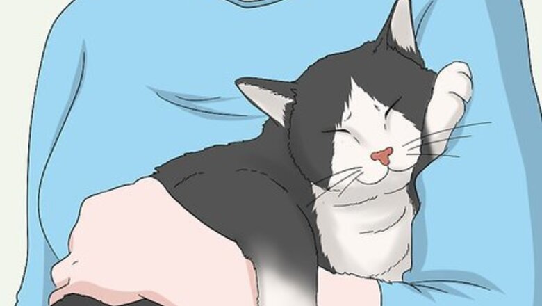 How to Soothe Your Cat With a Massage