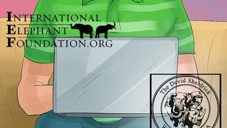 How to Help Save Elephants