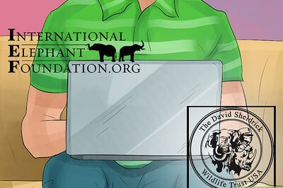 How to Help Save Elephants