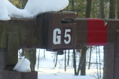 How to Enjoy the Lowell Dracut Tyngsboro State Forest
