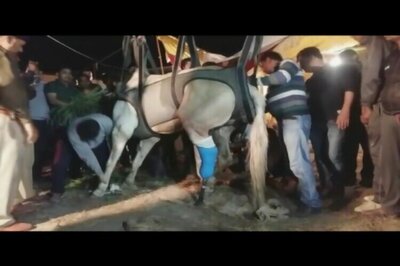 BJP MLA Ganesh Joshi arrested for breaking police horse Shaktiman's leg