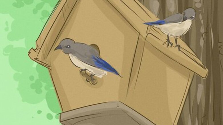 How to Help Endangered Animals