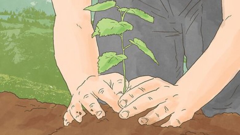 How to Avoid Greenwashing