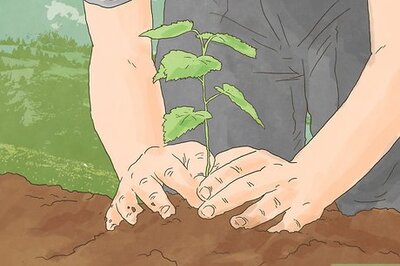 How to Avoid Greenwashing