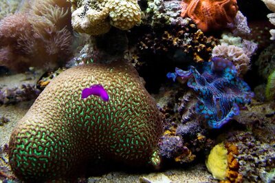 This Country Has Topped Dream Destinations List in New Luxury Travel Report