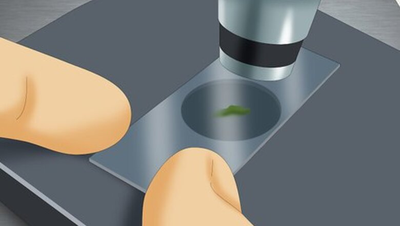 How to Use a Microscope to Observe Microorganisms