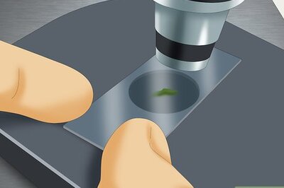 How to Use a Microscope to Observe Microorganisms