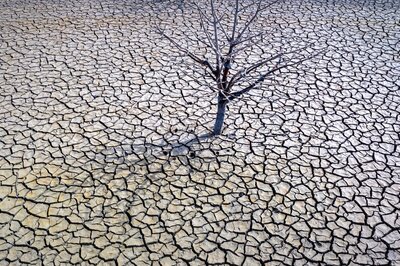 Climate, Health, and Development: Intersecting Pathways to a Sustainable Future