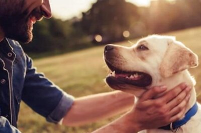 Pet Care Guide: 5 Tips To Train Your Furry Baby