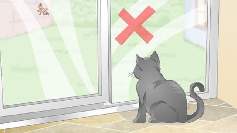 How to Protect Bird Nests from Predators