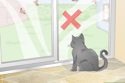 How to Protect Bird Nests from Predators