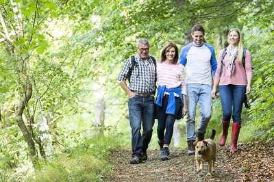 Slow Walking Speed at Age 45 Linked to Ageing Brain, Says Study