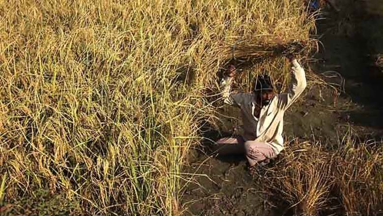 Kerala tackles rising rice prices amid Oppn fire
