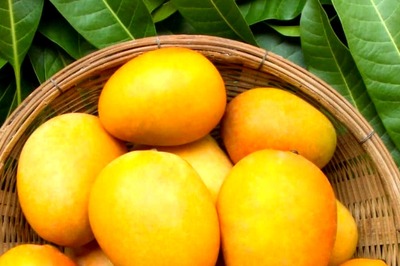 4 Sumptuous Mango Recipes You Must Try At Home