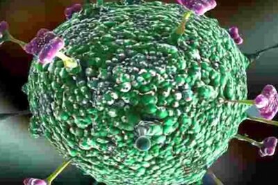 Andhra Pradesh Govt Alerts Districts After Reports of Nipah Virus in Kerala