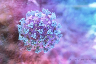 Coronavirus May be Aided by Body's Own Immune Response to Enter More Cells: Study