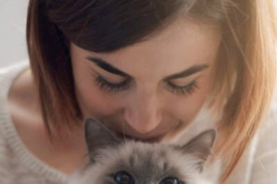 From Dental Care To Brushing Their Fur: How To Ensure Your Cat's Good Health