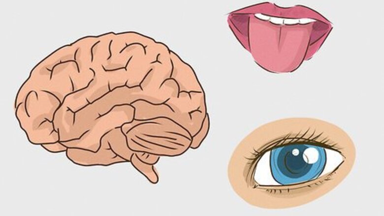 How to Build Job Skills When You're Autistic