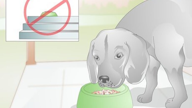 How to Make Feeding Comfortable for Arthritic Dogs