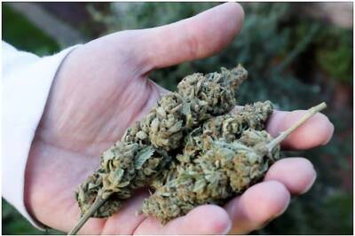 Canberra Becomes First Australian City to Legalize Weed, Here Are Other Cities Where It's Legal