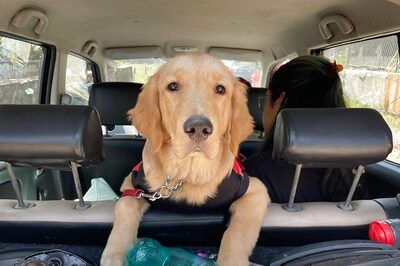 National Pet Day 2023: History, Significance, Wishes and Quotes