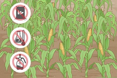 How to Become an Organic Farmer