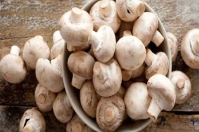 From Boosting Immunity To Reducing Stress, 6 Potential Health Benefits Of Mushroom Elixirs