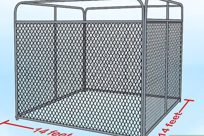 How to Deliver a Foal