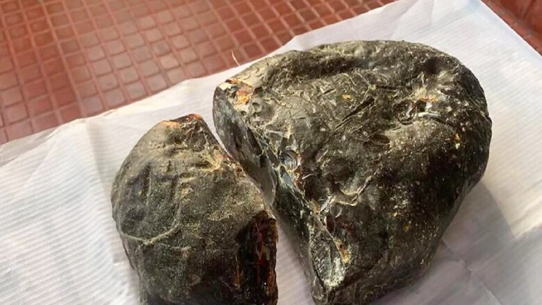 Six Men Held For Smuggling Whale Vomit in Tamil Nadu's Thoothukudi