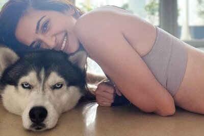 Tips On How To Keep Your Home Pet Odour-Free