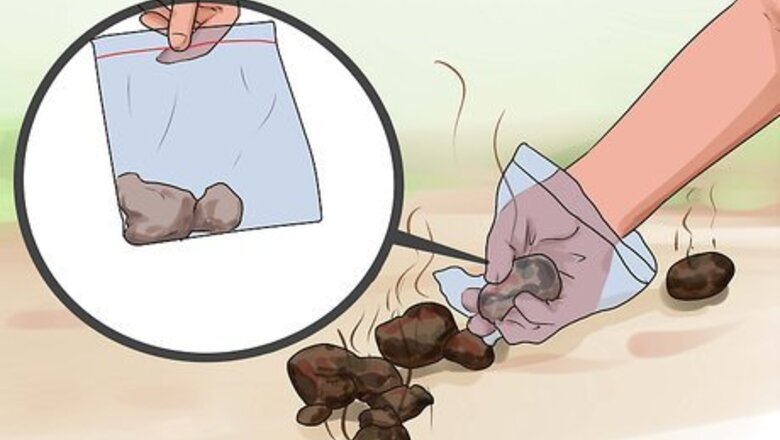 How to Deworm a Horse
