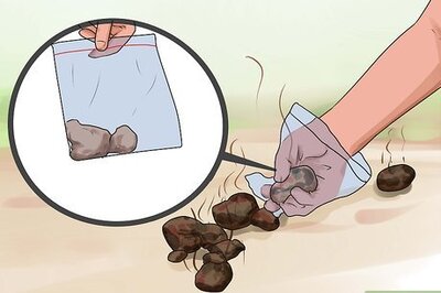 How to Deworm a Horse