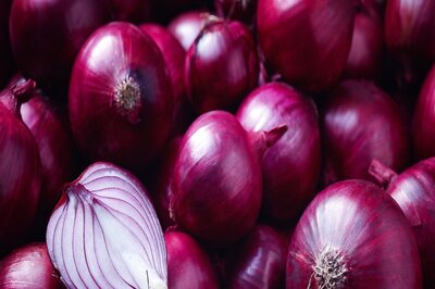 Govt Wants Students to Help in Storing Onions, Invites Applications from Storage Tech Start-ups