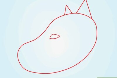 How to Draw a Fluffy Crested Wolf