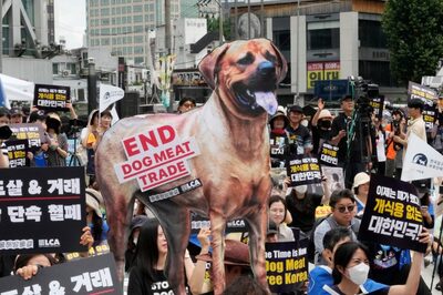 South Korea Bans Dog Meat Trade, Dog Farmers to Challenge Legislation