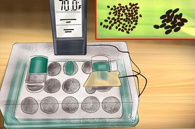 How to Germinate Seeds with Humidity