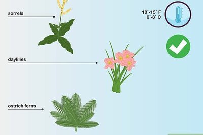 How to Choose Plants for a Garden