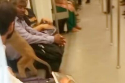 Old Video Goes Viral: Monkey Travels With Delhiites In Metro