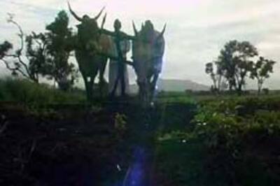 Govt may declare drought in Thane