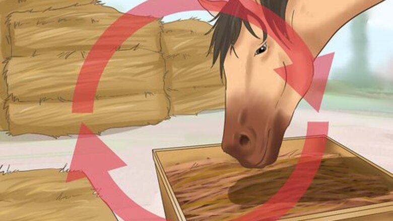 How to Feed Your Horse During Show Season